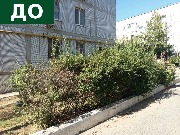 Сев 18_до